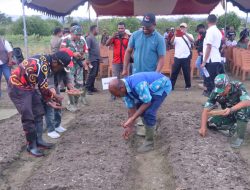 Ini Kebijakan Pemkot Jayapura Tekan Inflasi Daerah