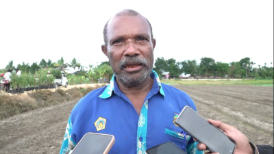 Kadis Pertanian Kota Jayapura: “Bawang Merah Punya Andil Terhadap Inflasi”