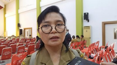 Kepala Dinas Kesehatan imbau masyarakat manfaatkan kelambu berinsektisida secara maksimal