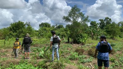 Sadis, 2 Orang Tewas dianiaya OTK Di Yahukimo