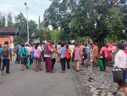 Tak Lolos Validasi CPNS dan PPPK, Ratusan Guru Honorer Datangi Kantor Bupati Jayapura