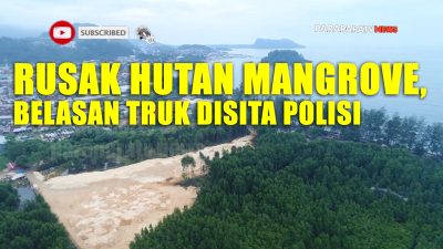 Rusak Hutan Mangrove Hamadi, Belasan Truk disita Aparat