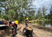 Dukung Rangkaian Sail Teluk Cenderawasih 2023, PLN Pastikan Keandalan Listrik di Festival Negeri Seribu Ombak