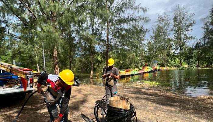Dukung Rangkaian Sail Teluk Cenderawasih 2023, PLN Pastikan Keandalan Listrik di Festival Negeri Seribu Ombak