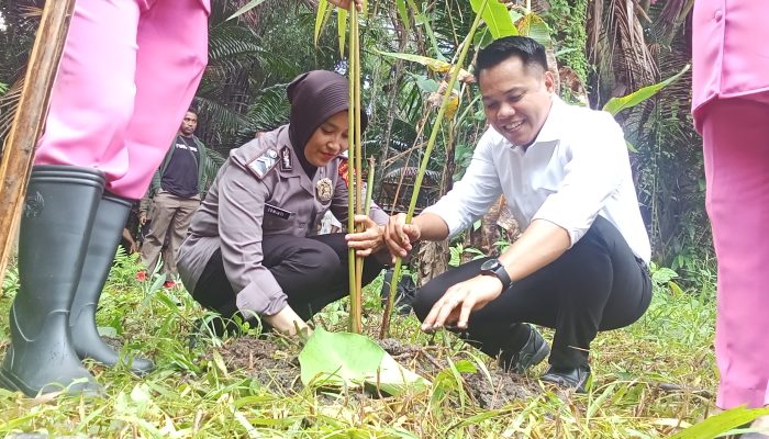 Membangun Rumah Tangga dalam Filosofi Sagu