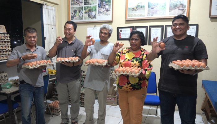 Melimpah Ketersediaan Telur Ayam, Asosiasi Peternak Ayam Setanah Tabi Minta Pemprov Tidak Menyetok telur dari luar Papua