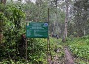 Penuhi Komitmen Jaga Lingkungan, PLN: Penting untuk Keberlanjutan