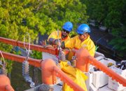 Pastikan Pasokan Listrik Sambut Pemilu 2024 Aman, PLN Juga Dirikan Posko Siaga Kelistrikan di Seluruh Indonesia