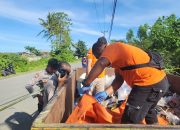 Warga Sentani Digegerkan dengan Penemuan Jasad Bayi di Tempat Sampah