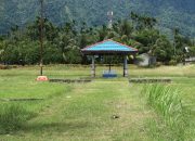 Pemkab Jayapura Bakal Pindahkan Makam Dortheys Hiyo Eluay