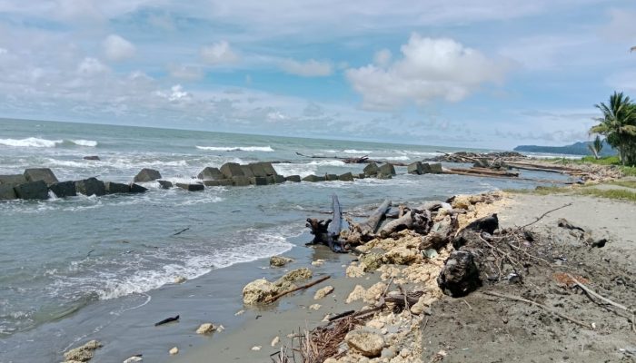 Ancaman Abrasi di Pantai Wisata Skouw, Walhi Papua Minta Perhatian Serius Semua Pihak