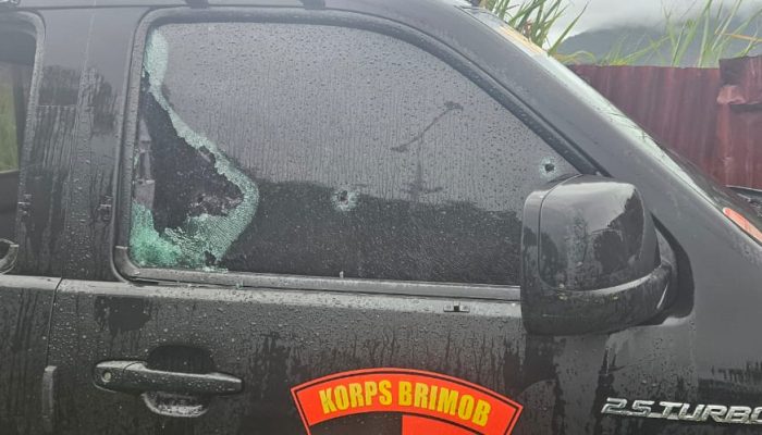 Amnesty Internasional Soroti Tindakan Berlebihan Aparat Kepolisian Terhadap Pelaku Peuncurian Mobil di Bandara Sentani Jayapura