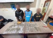 Diduga Pengedar Ganja Kelas Kakap Lintas Negara, Polisi Bekuk 3 Terduga Pelaku