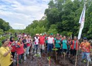 Jaga Kelestarian Lingkungan dan Peringati Hari Mangrove Sedunia, PMI Kota Jayapura Tanam 300 Mangrove