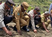 Tanam Bawang Merah Terus Digenjot di Lanny Jaya