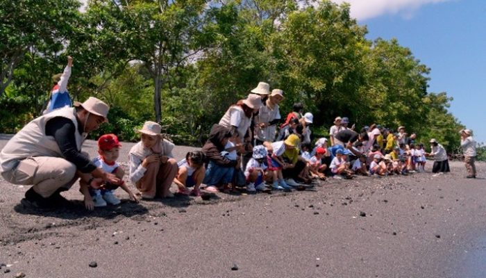 Edukasi Anak Usia Dini: CSR Pertamina AFT Babullah Kembali Adakan Sekolah Lapangan Konservasi Penyu di Pantai Tobololo