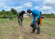 Tingkatkan Ketahanan Pangan di Wilayah Perbatasan, TNI bersama Babinsa dan Masyarakat Tanam Jagung