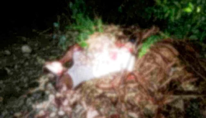 Tim Gabungan Satgas Ops Damai Cartenz-2024, Brimob Polda Papua dan Polres Yahukimo Kejar KKB Pelaku Pembunuhan Warga Sipil di Yahukimo