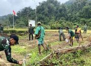 Perkuat Ketahanan Pangan, Satgas Yonif 512/QY Kompak Bersama Masyarakat Tanam Jagung