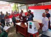 Prihatin! DPT 558,  Yang Memilih di TPS 29 Kelurahan Waena Hanya 29 Orang