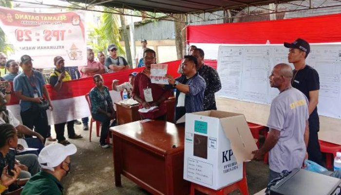 Prihatin! DPT 558,  Yang Memilih di TPS 29 Kelurahan Waena Hanya 29 Orang