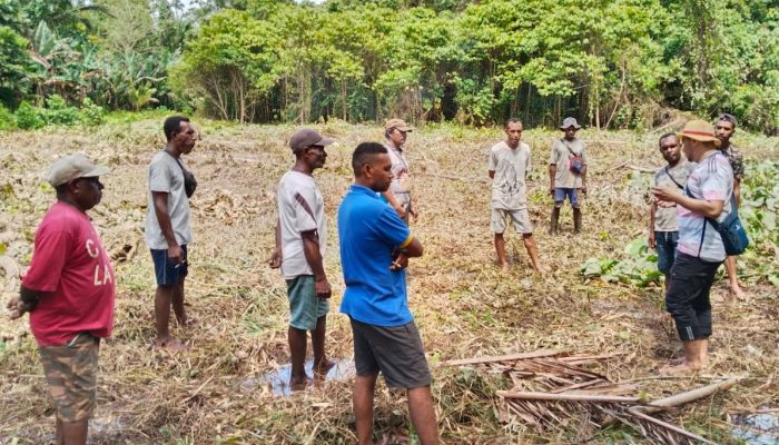 Berikan Bantuan Bibit dan Alat Mesin Pertanian, Ketua DPRK Sarmi berharap Jadi Pemasok Sayur untuk Program MBG