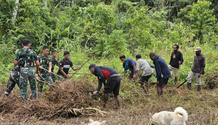 Bersama Warga Buka Lahan Ketahanan Pangan, Satgas Yonif 512/QY Kompak Gotong Royong dengan Warga Kampung Monggo Efi