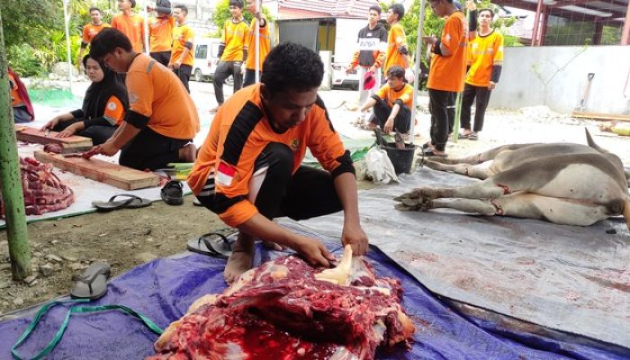 BAZNAS Papua Siapkan 51 Hewan Kurban untuk Hari Raya Idul Adha tahun 2025