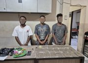 WNA Asal PNG Diciduk Bawa Ganja di Jayapura