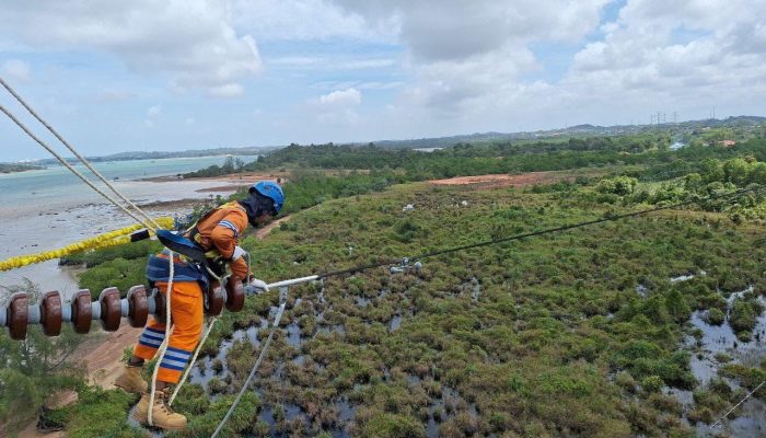 Wujud Kontribusi ke Negara, PLN Setor Rp65,59 Triliun Lewat Dividen, Pajak, dan PNBP