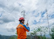PLN Berhasil Pulihkan 100% Kelistrikan Jayapura, Seluruh Pelanggan Kembali Menyala