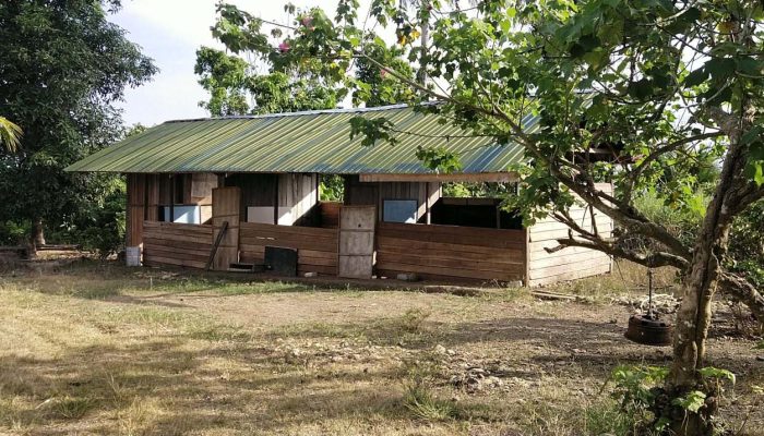 Sekolah dari Papan Rapuh : Enam Tahun Bertahan, Pemerintah Membisu