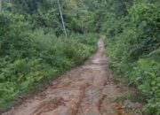 Astaga, Uang Muka Pekerjaan Jalan Mandiwa Rp. 3 M Belum Dikembalikan!