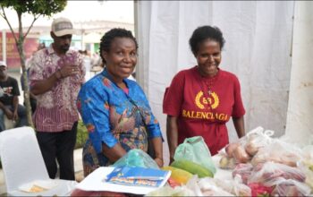 Perkembangan Inflasi Wilayah Papua dan DOB Periode Januari 2026