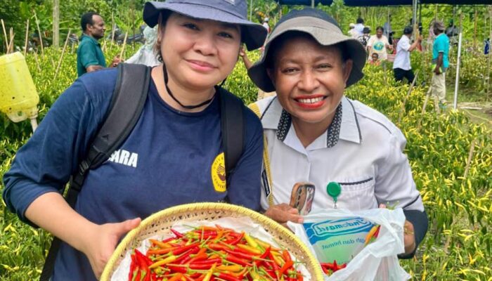 Dari Lahan Kering ke Harapan Baru: Cerita Perubahan Kelompok Tani Waibron
