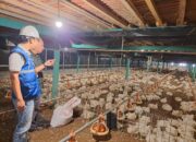 Pemerintah Putuskan Tarif Listrik Triwulan II 2026 Tidak Naik, PLN Siap Jaga Keandalan dan Kualitas Layanan di Tengah Dinamika Global
