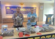 Kurir Ganja 8,3 Kg Dibekuk Polisi, Residivis Terancam Hukuman Berat
