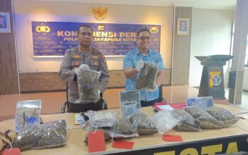 Kurir Ganja 8,3 Kg Dibekuk Polisi, Residivis Terancam Hukuman Berat