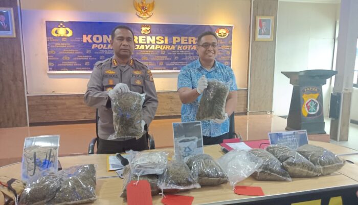 Kurir Ganja 8,3 Kg Dibekuk Polisi, Residivis Terancam Hukuman Berat