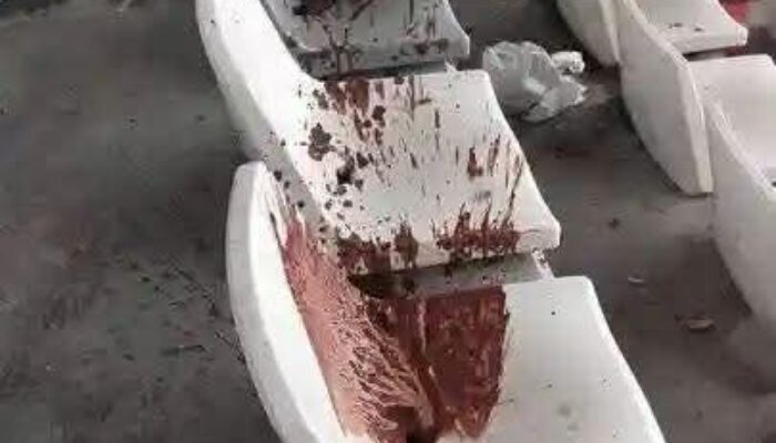 Makan Pinang dan Meludah Sembarangan di Stadion Lukas Enembe Jadi Sorotan