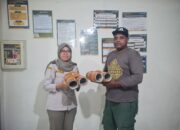 Karantina dan BBKSDA Papua Gagalkan Penyelundupan Burung Cenderawasih Mati-Kawat
