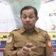 Pemkot Jayapura Siapkan 100 Ekor Sapi Untuk Idul Adha 1447