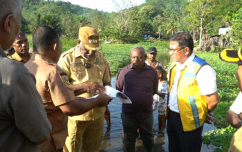 Wali Kota Jayapura dan Balai Wilayah Sungai Papua Tinjau Lokasi Rawan Banjir di Kompleks Konya