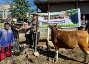 Polresta Jayapura Kota Salurkan Hewan Kurban di Empat Lokasi, Wujud Kepedulian dan Penguatan Kebersamaan dengan Masyarakat