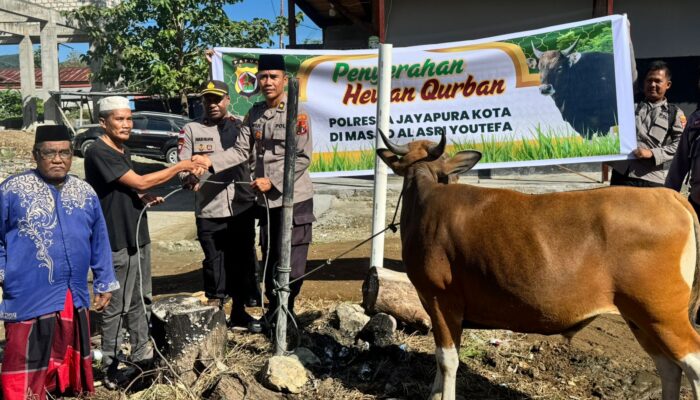 Polresta Jayapura Kota Salurkan Hewan Kurban di Empat Lokasi, Wujud Kepedulian dan Penguatan Kebersamaan dengan Masyarakat