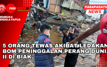 5 Orang Tewas Akibat Ledakan Bom Peninggalan Perang Dunia II di Biak