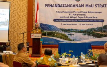 Dongkrak Rasio Elektrifikasi Papua Selatan, PLN dan Pemprov Papua Selatan Teken MoU Strategis