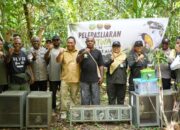 Gagalkan Perdagangan Ilegal, Karantina Papua Selamatkan Flora dan Fauna Endemik, Kembalikan ke Habitat Aslinya