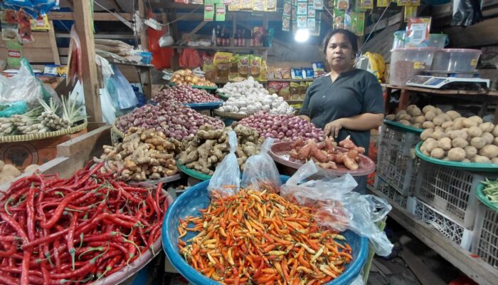 Dinamika Ekonomi Kota Jayapura: Pedagang, Ojol, hingga Sopir Angkot Sama-sama Merasakan Penurunan Omzet