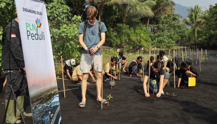 Dari Persemaian ke Pesisir: 1.000 Bibit Mangrove Disiapkan untuk Menjaga Pantai Wauwo dan Habitat Mamoa